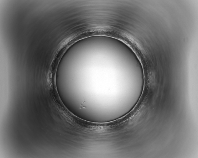 X0000094340970200711021448