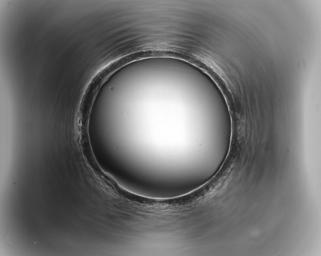 X0000094340971200711021448