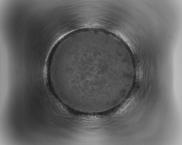 X0000094340975200711021448