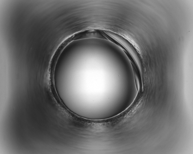 X0000094340976200711021448
