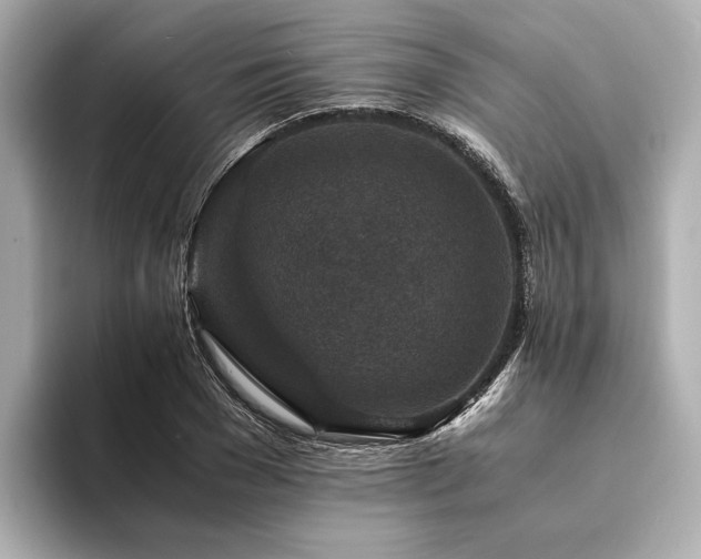 X0000094340977200711021448
