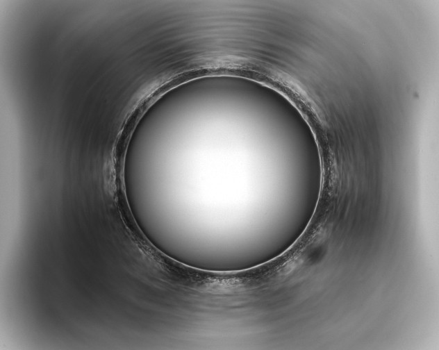 X0000094340978200711021448