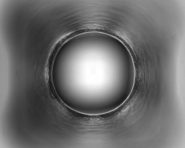 X0000094340979200711021448