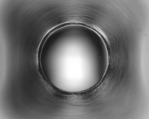 X0000094340980200711021448