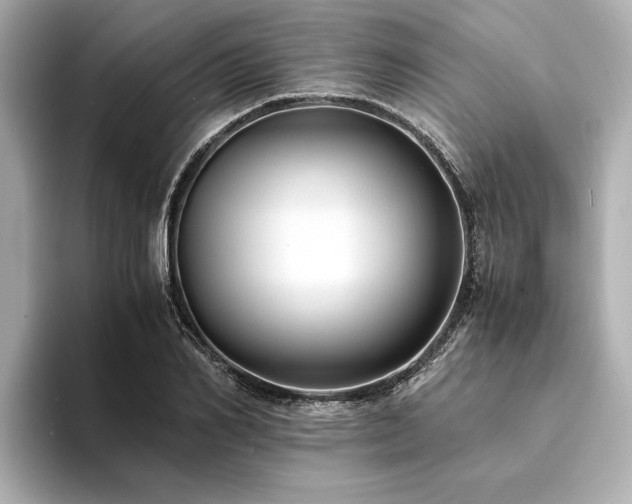 X0000094340982200711021448