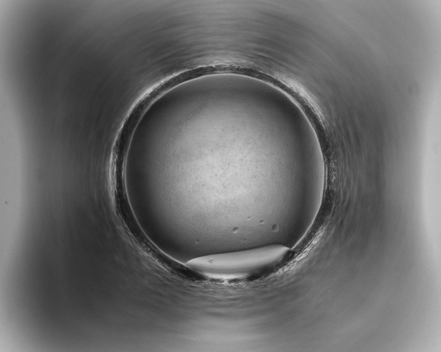 X0000094340983200711021447
