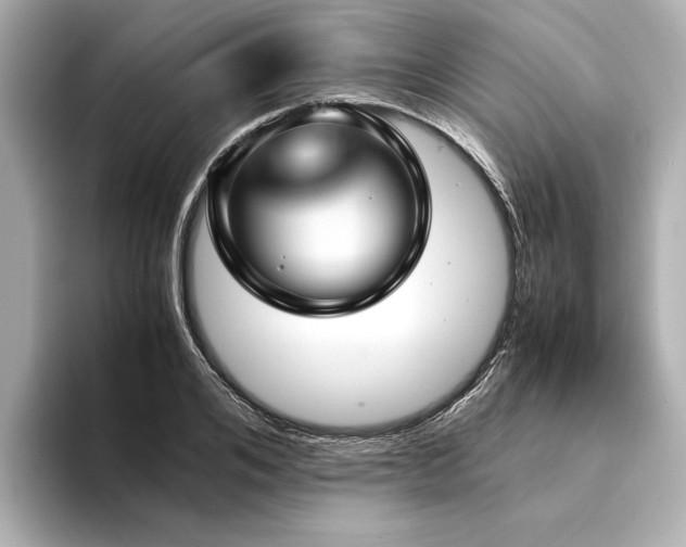 X0000094340984200711021447