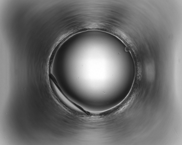 X0000094340986200711021447