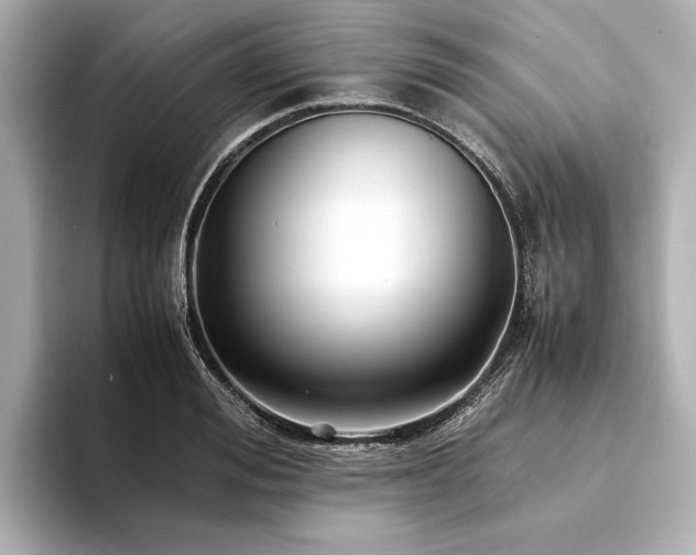 X0000094340988200711021447