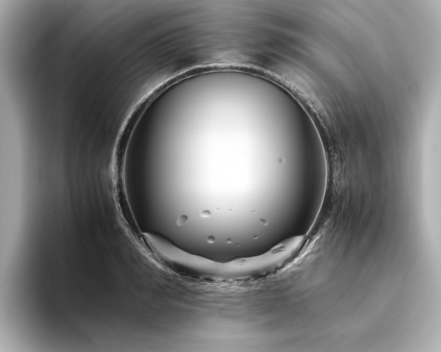 X0000094340990200711021447
