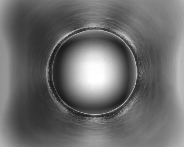 X0000094340991200711021447