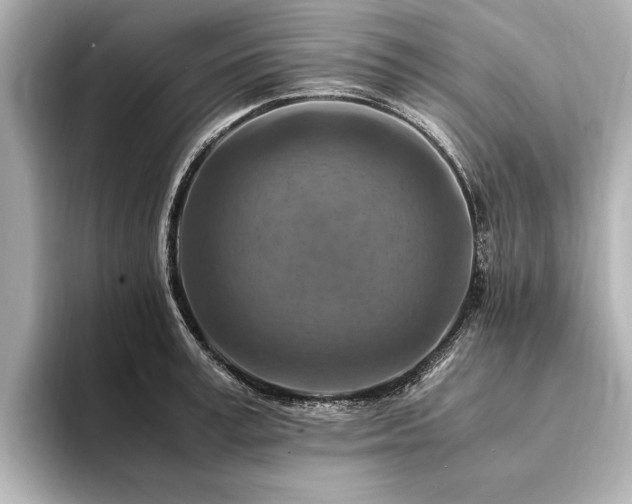 X0000094340995200711021447