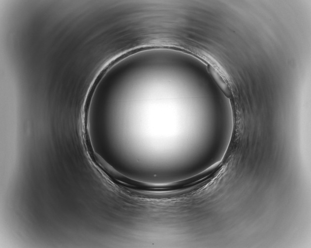 X0000094340996200711021447