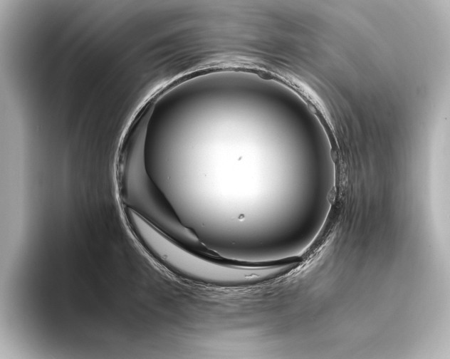 X0000094340997200711021447