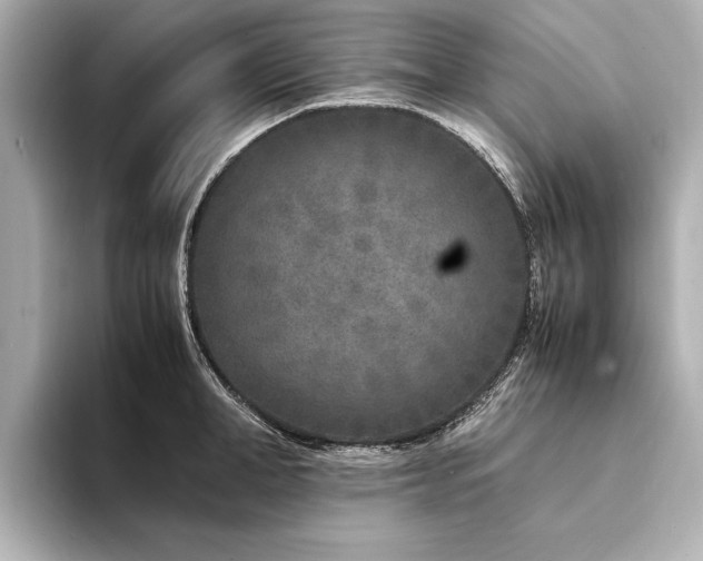 X0000094340998200711021447