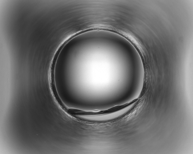 X0000094340999200711021447