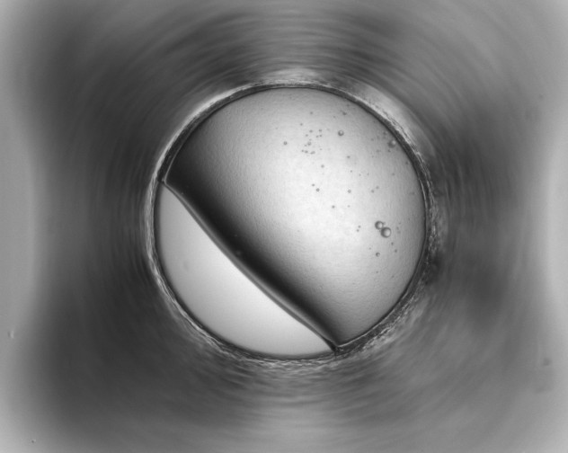 X0000094341000200711021447