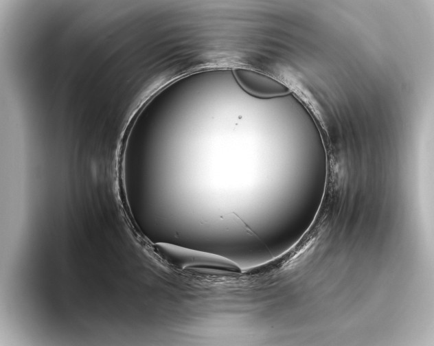 X0000094341002200711021447
