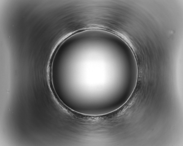 X0000094341003200711021447