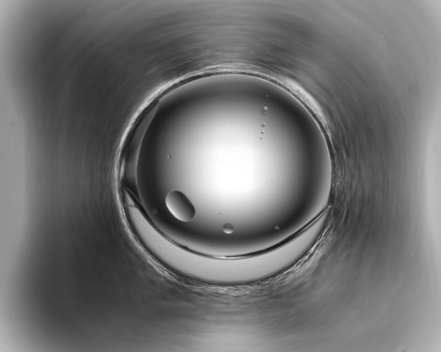X0000094341005200711021447