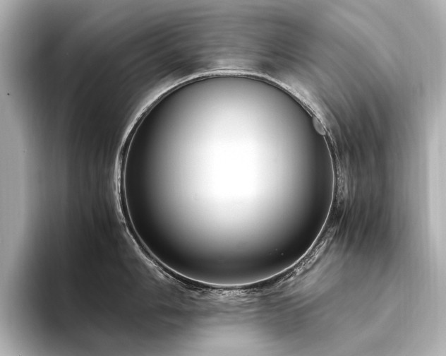 X0000094341006200711021447