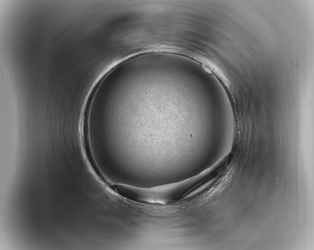 X0000094341007200711021447