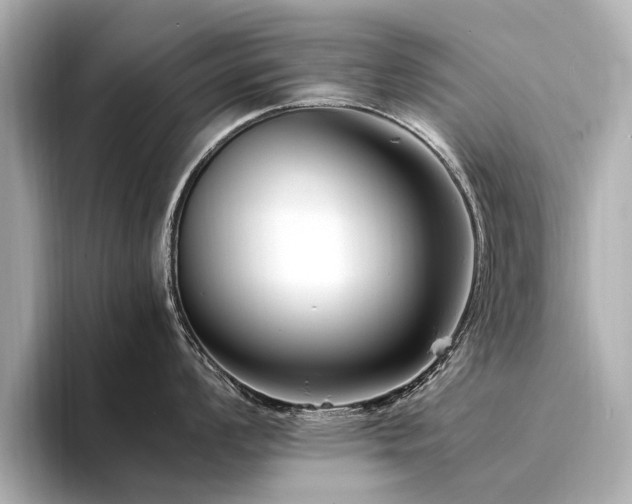 X0000094341008200711021447