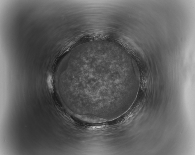 X0000094341010200711021447