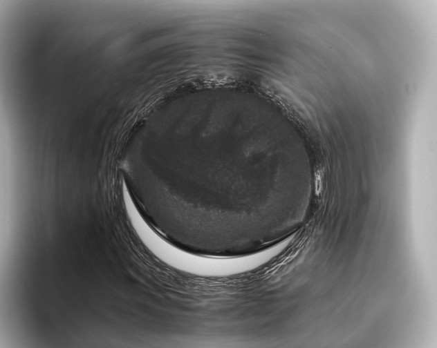X0000094341011200711021447