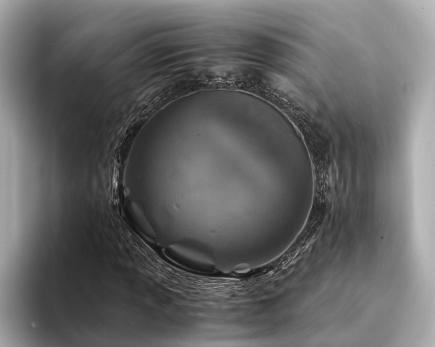X0000094341013200711021447