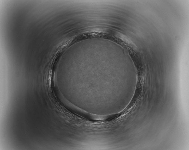 X0000094341014200711021447