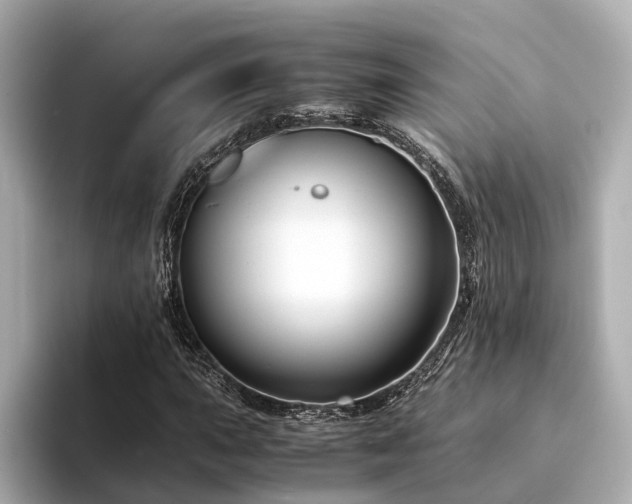 X0000094341015200711021447