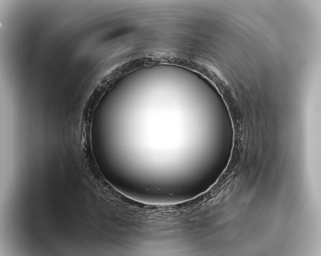 X0000094341016200711021447