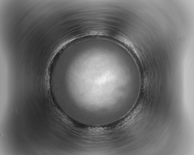 X0000094341019200711021447