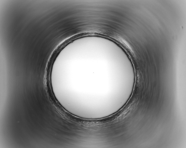 X0000094341020200711021447