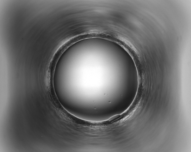 X0000094341021200711021447