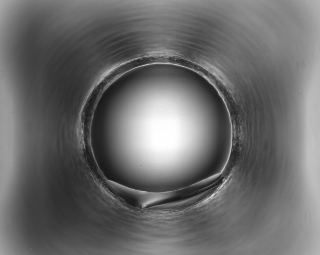 X0000094341022200711021447