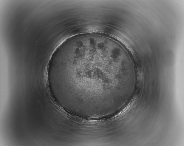 X0000094341023200711021447