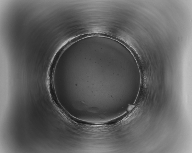 X0000094341024200711021447
