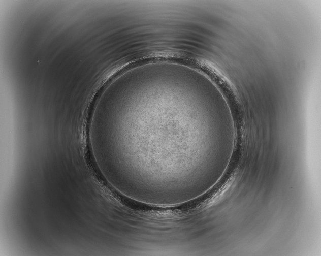 X0000094341025200711021447
