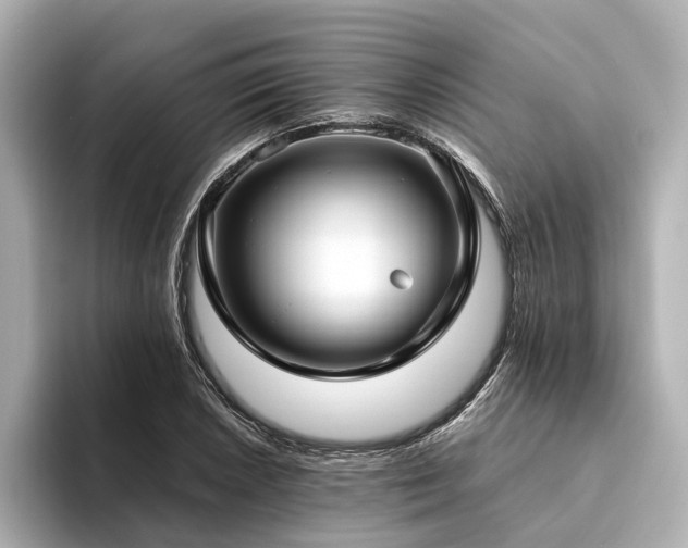 X0000094341026200711021447