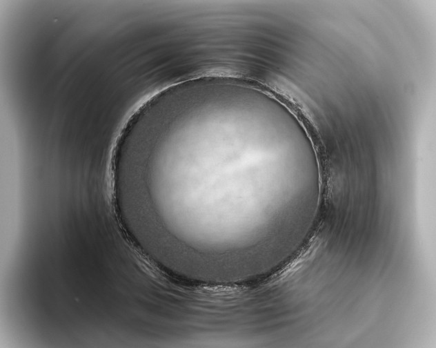 X0000094341027200711021447