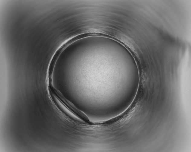 X0000094341028200711021447