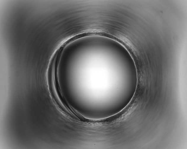 X0000094341030200711021447
