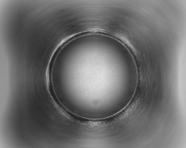 X0000094341032200711021447