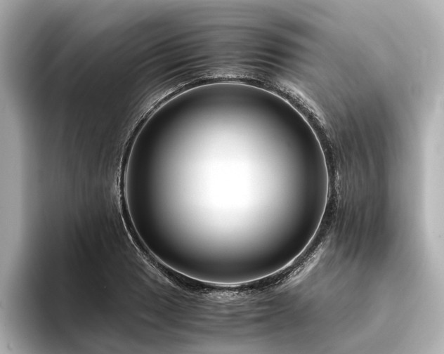 X0000094341033200711021447