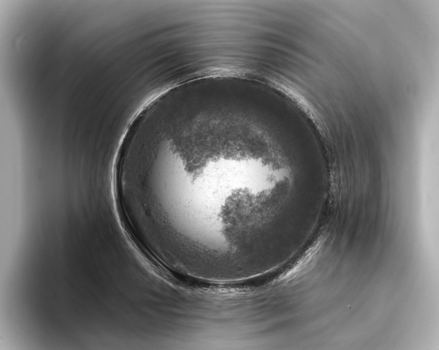 X0000094341034200711021447