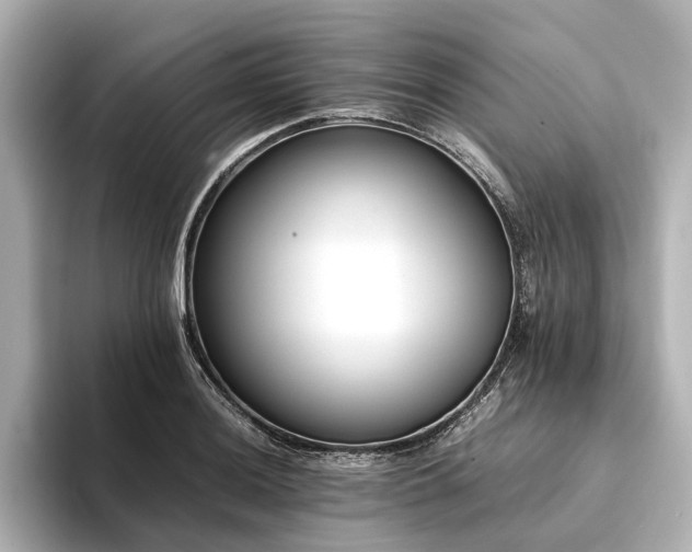X0000094341036200711021447