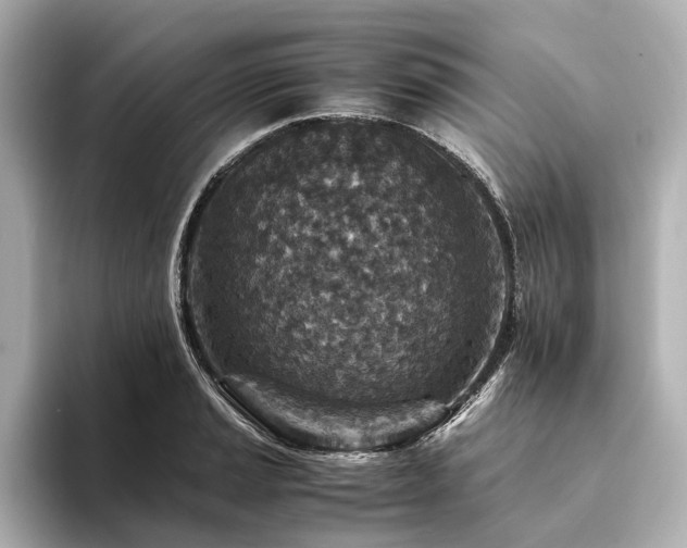 X0000094341037200711021447