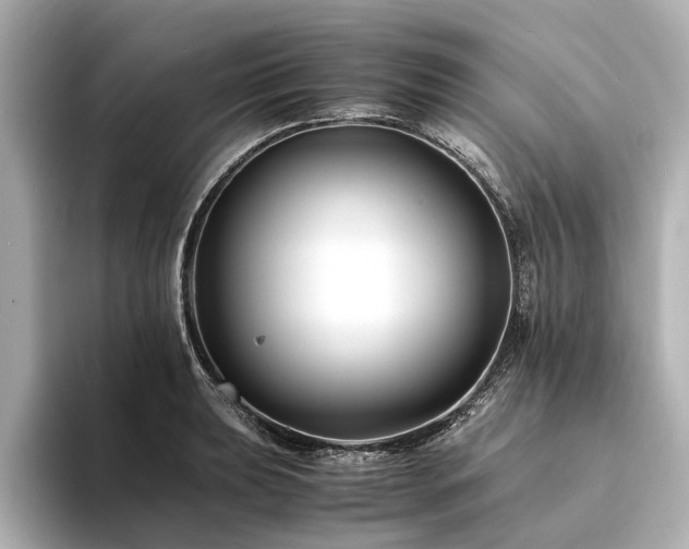 X0000094341039200711021447